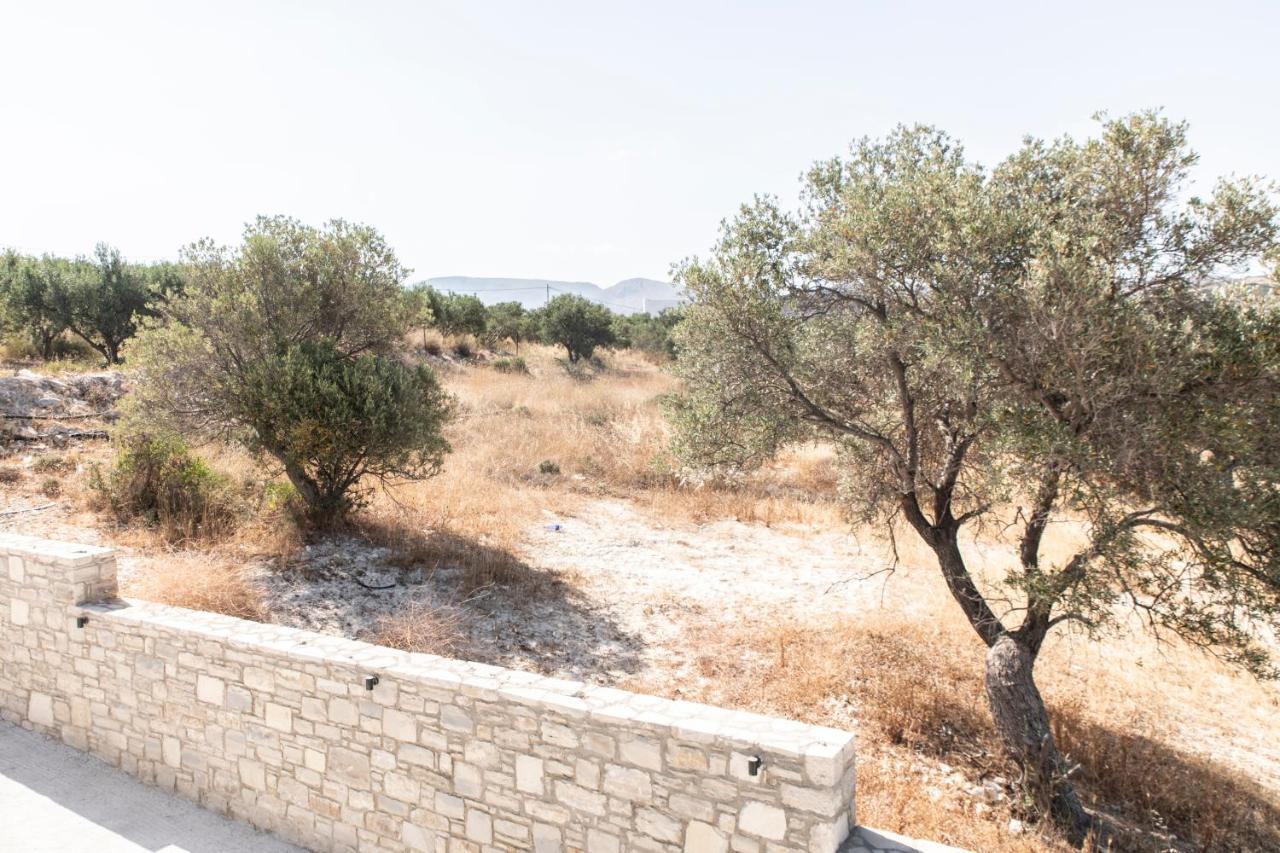 Aeonios Luxury Villa ปิตซีเดีย ภายนอก รูปภาพ